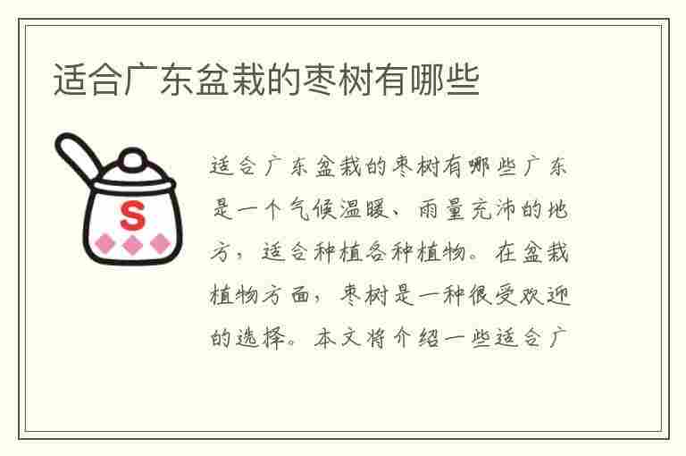 适合广东盆栽的枣树有哪些(适合广东盆栽的枣树有哪些品种)